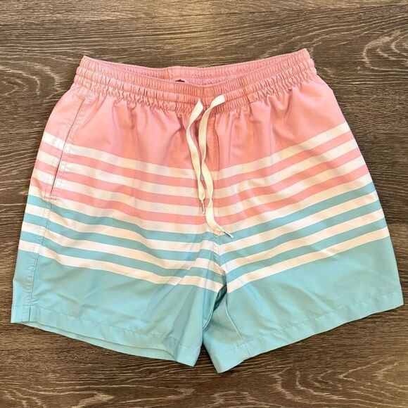 NWOT Chubbies On The Horizons Lined Classic Swim Trunk 5.5” Size Medium - Picture 3 of 5